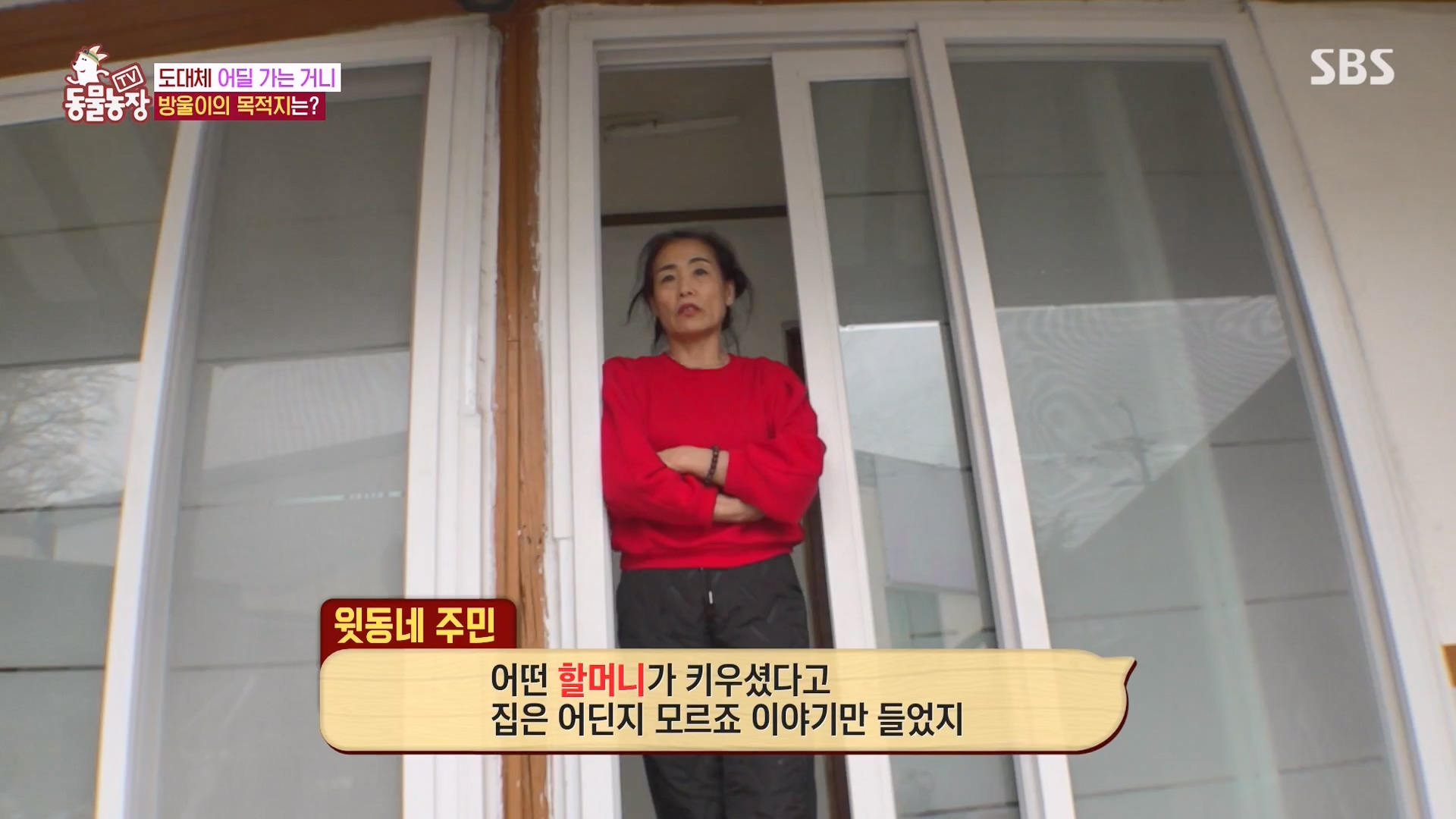 TV 동물농장.E1162.240310p-NEXT.mp4_20240310_162846.612.jpg