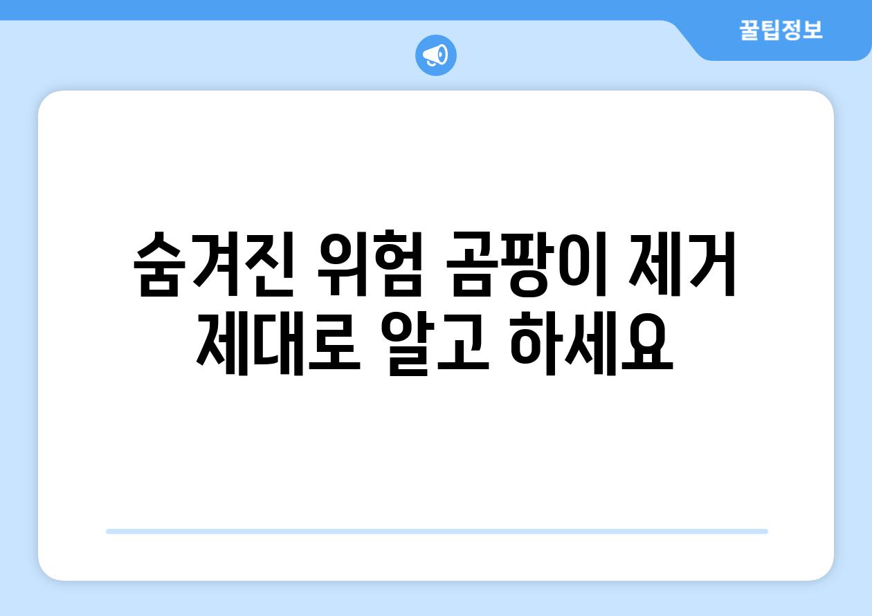 숨겨진 위험 곰팡이 제거 제대로 알고 하세요