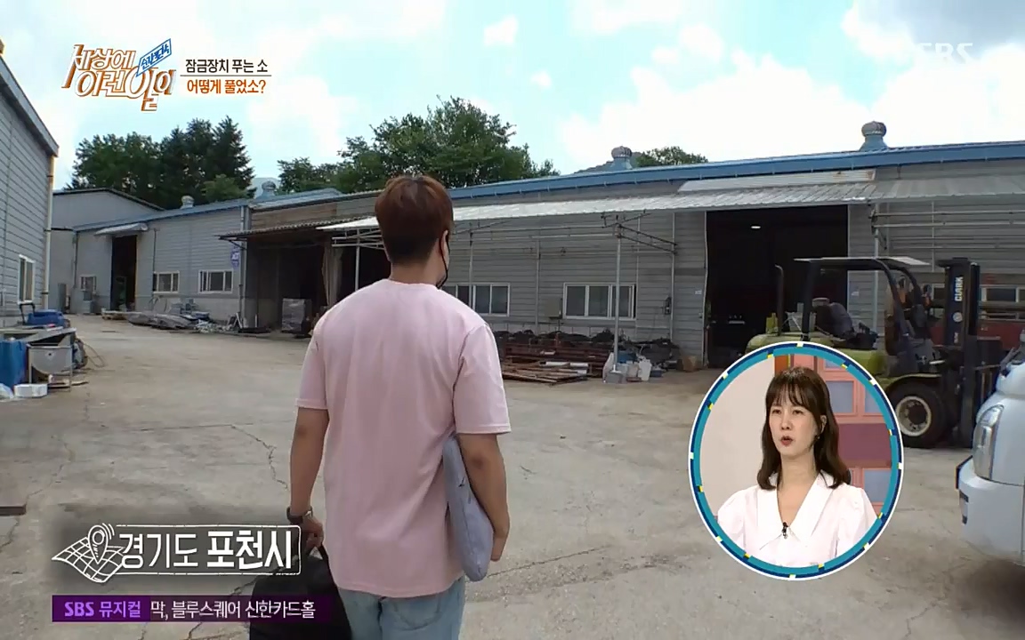 순간포착 세상에 이런일이.E1190.220727p-NICE.mp4_20220727_202105.034.jpg