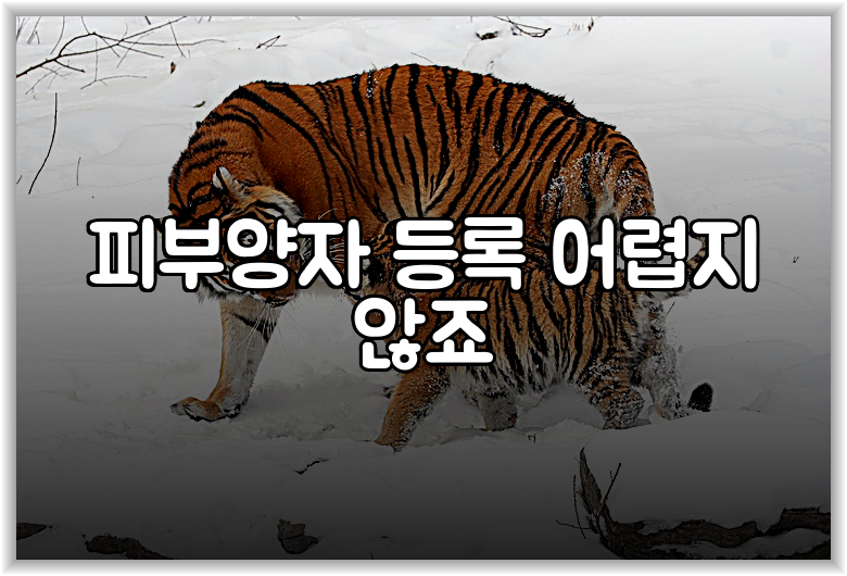 피부양자 등록 어렵지 않죠