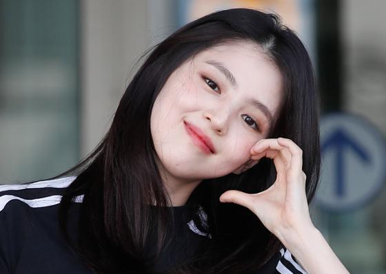 개띠 관련