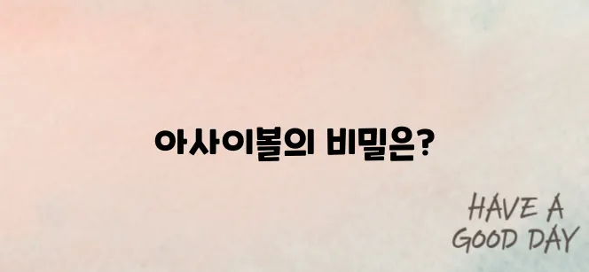 요아정 아사이볼 다이어트