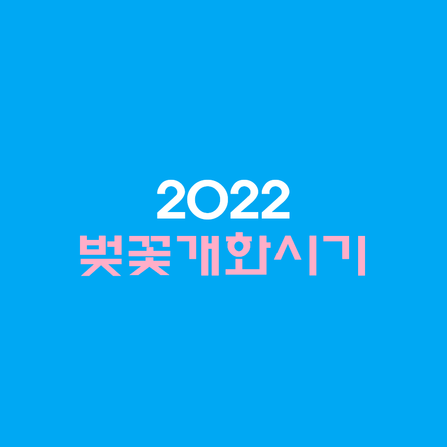  2022벚꽃개화시기 경주 하동 진해 서울 벚꽃개화시기는?