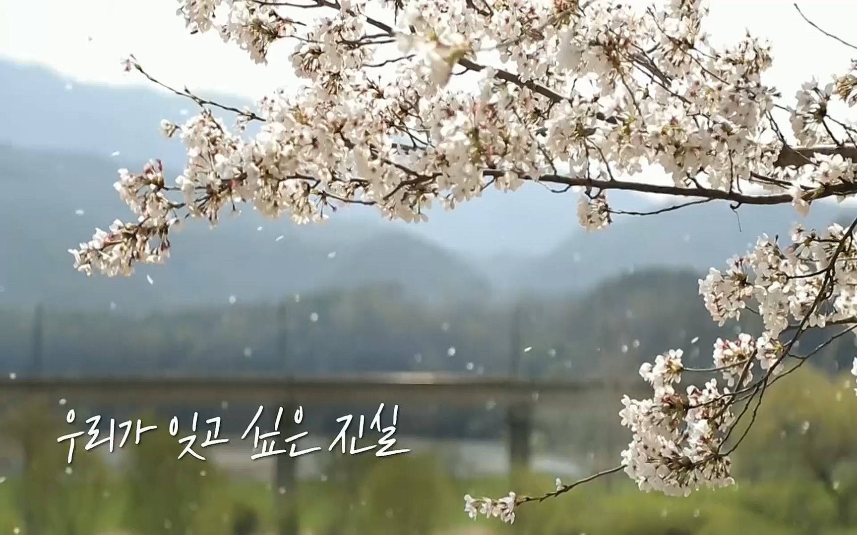 생로병사의 비밀.E820.220511p.H264-F1RST.mp4_20220512_192536.179.jpg