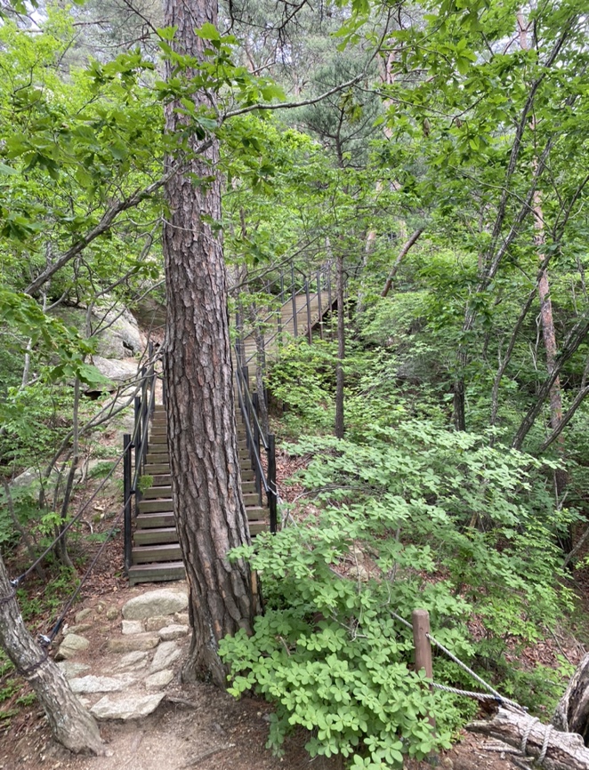 여름산으로 추천하는 괴산 칠보산(778m) 숲속을 거니는 듯 시원해 26