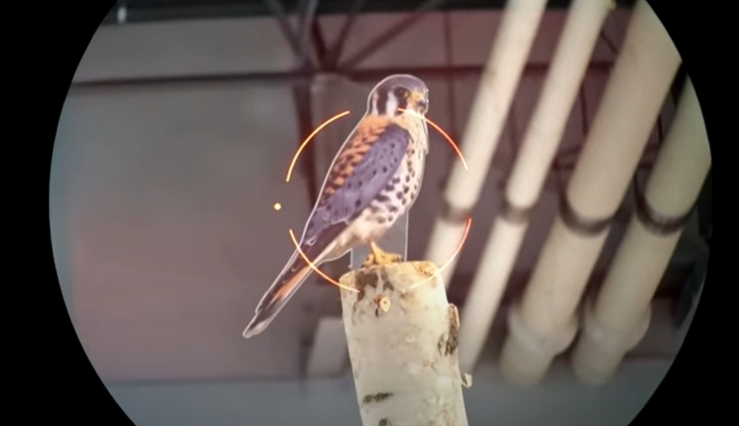 [CES 2024] 원거리 새의 품종까지 구분하는 세계 최초 인공지능 지원 쌍안경 VIDEO:World&#39;s First-Ever Smart Binoculars Can Identify 9000 Birds Thanks To Built-In AI