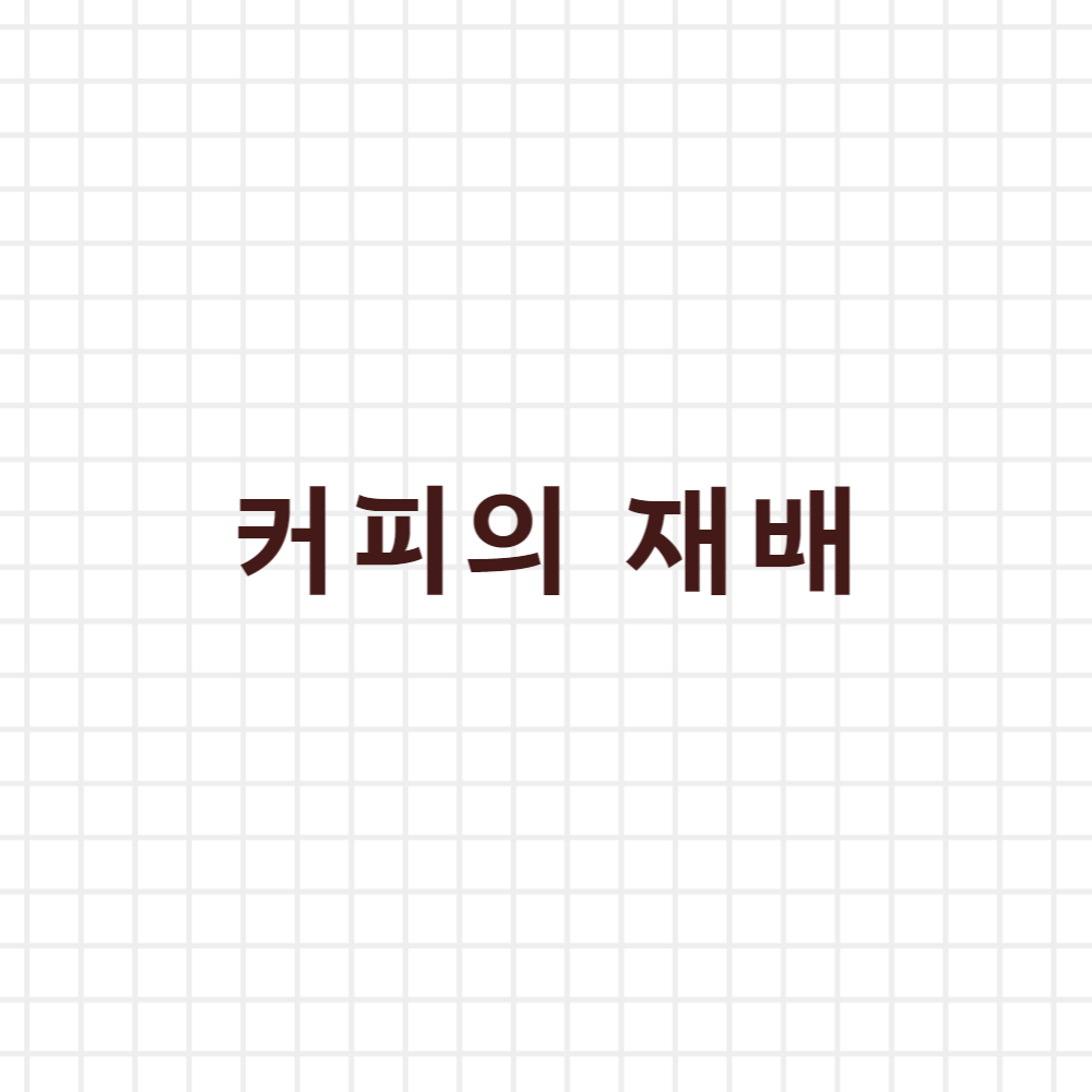  커피의 재배 조건