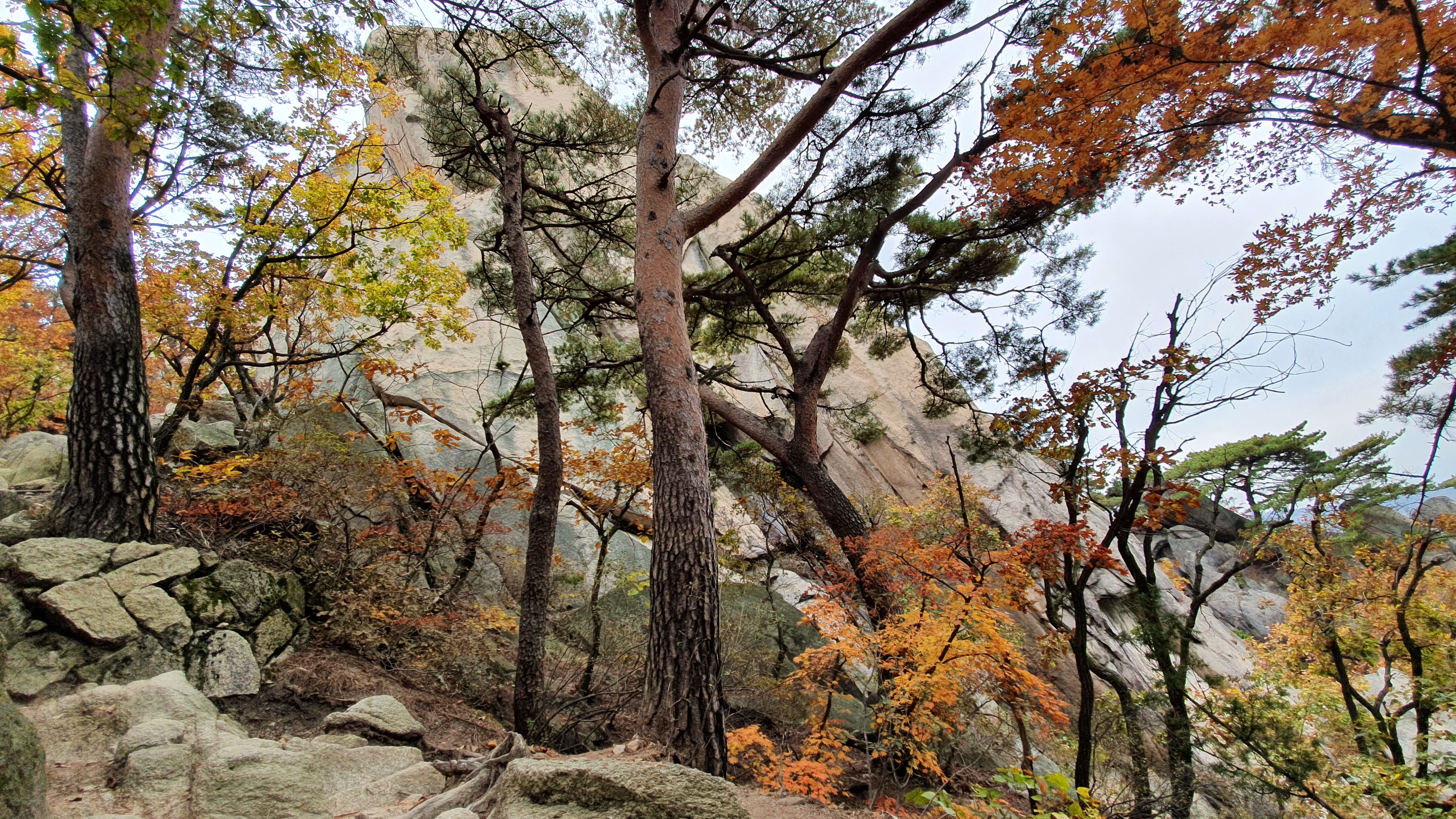 북한산 (2020-10-21) 46