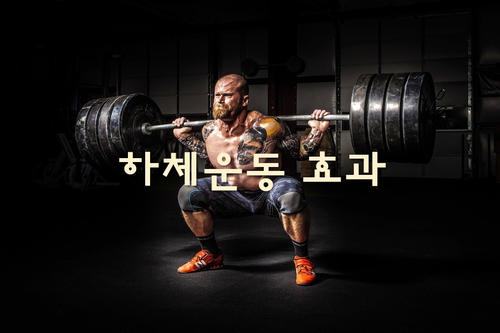  헬스장 하체운동 순서와 하체운동 효과