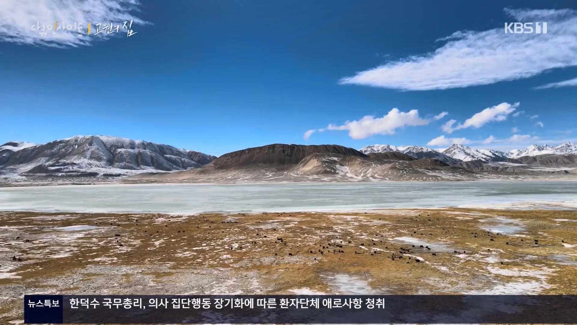 다큐 인사이트.E176.240328p.H264-F1RST.mp4_20240330_162637.429.jpg