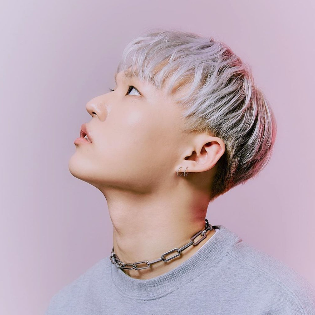댄서_무드독이_위를_올려다보고_있다