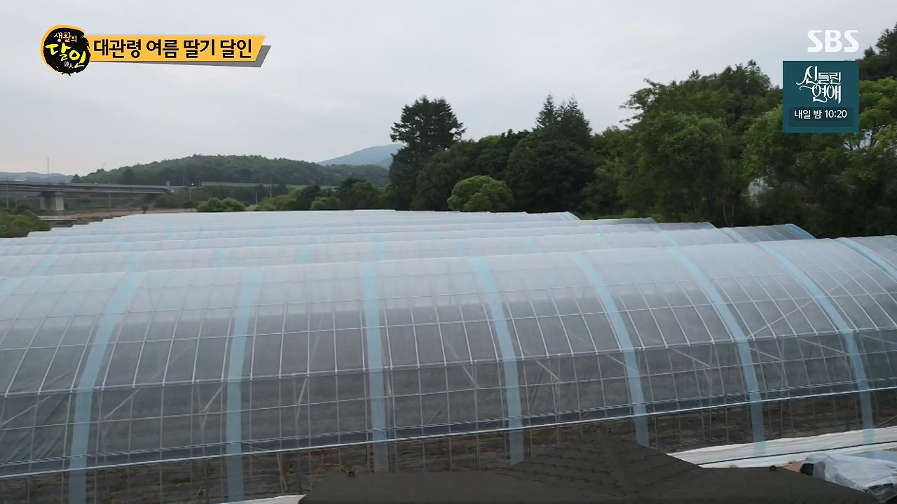 생활의 달인.E941.240625p-NEXT.mp4_20240625_211150.770.jpg