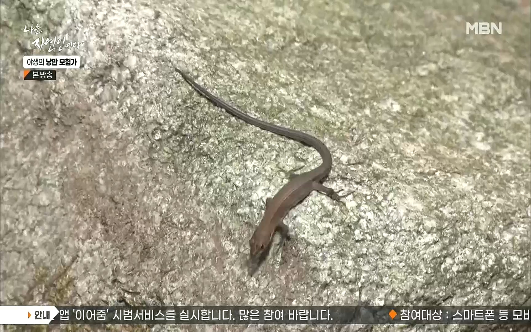 나는 자연인이다.E520.220921p.H264-F1RST.mp4_20220922_202739.975.jpg