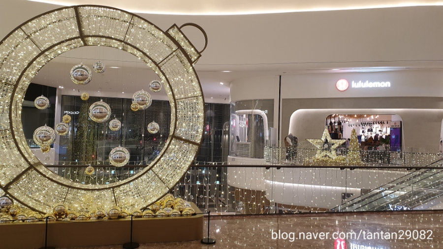 1타3만체육쿠폰으로 복싱입문! 복싱화 10