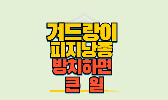 겨드랑이 피지낭종