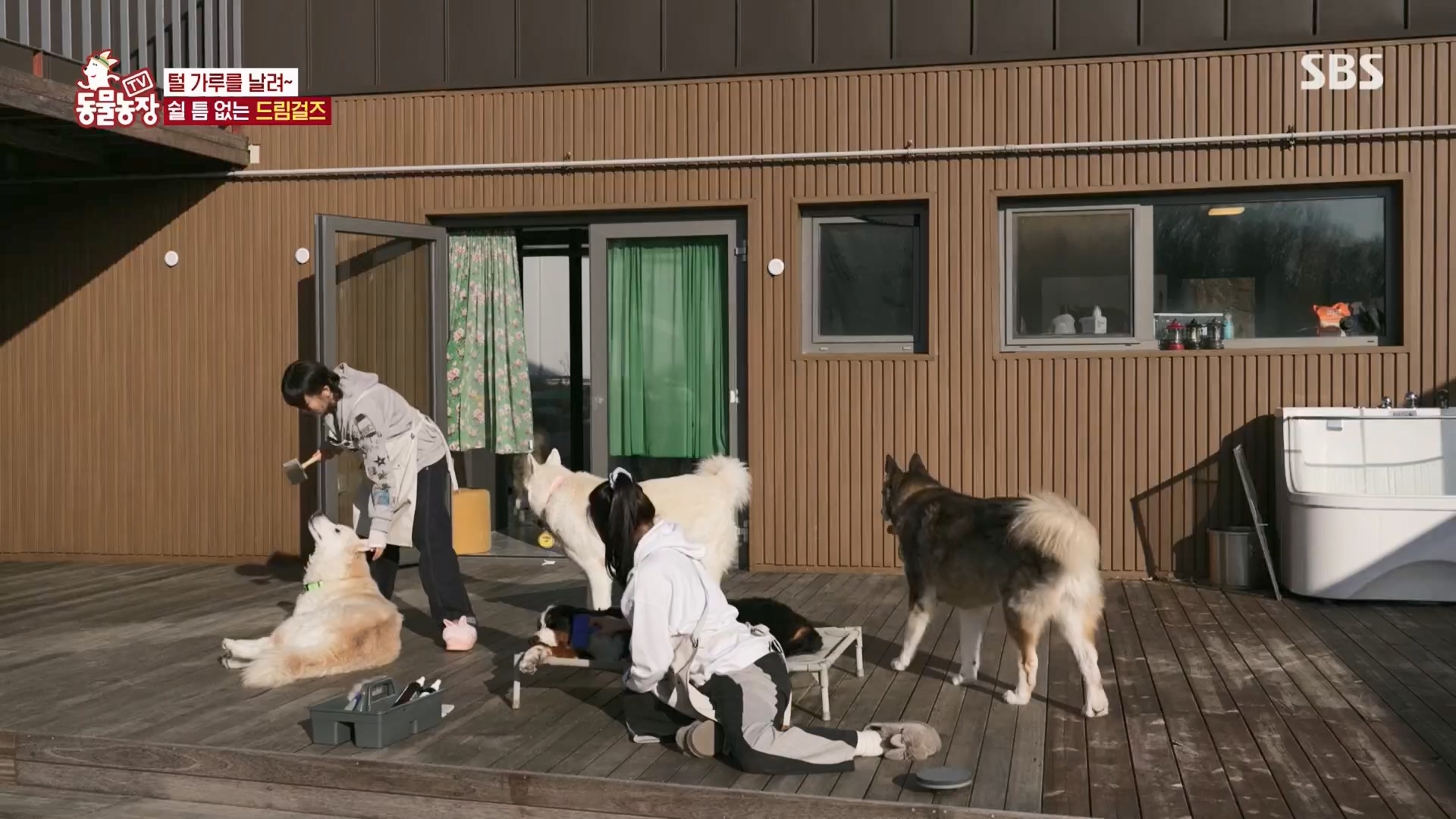TV 동물농장.E1148.231203p.H264-F1RST.mp4_20231203_181440.907.jpg