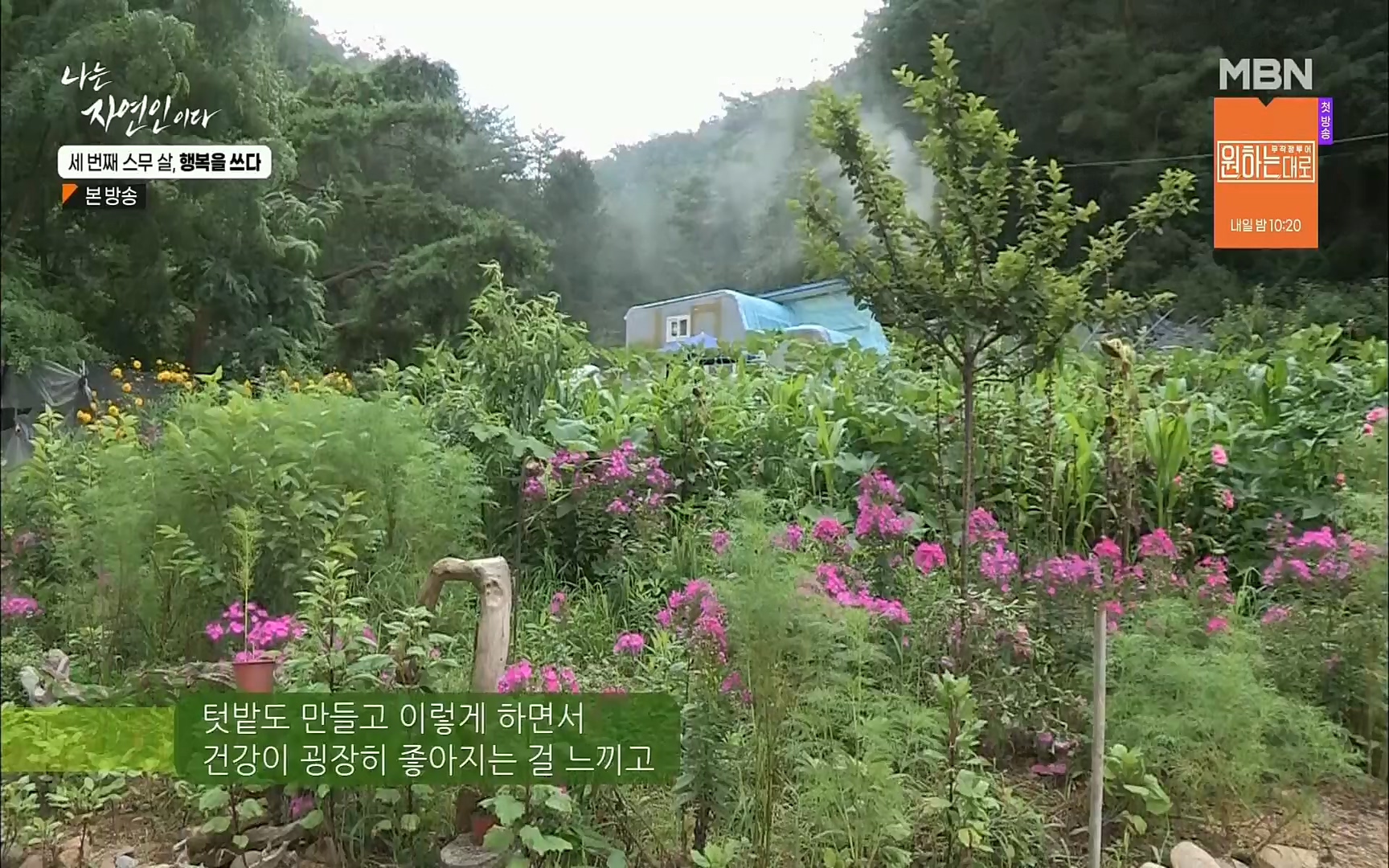 나는 자연인이다.E516.220824p.H264-F1RST.mp4_20220825_164133.769.jpg