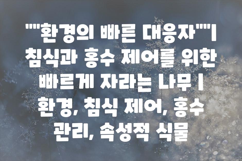 샘플 (47)