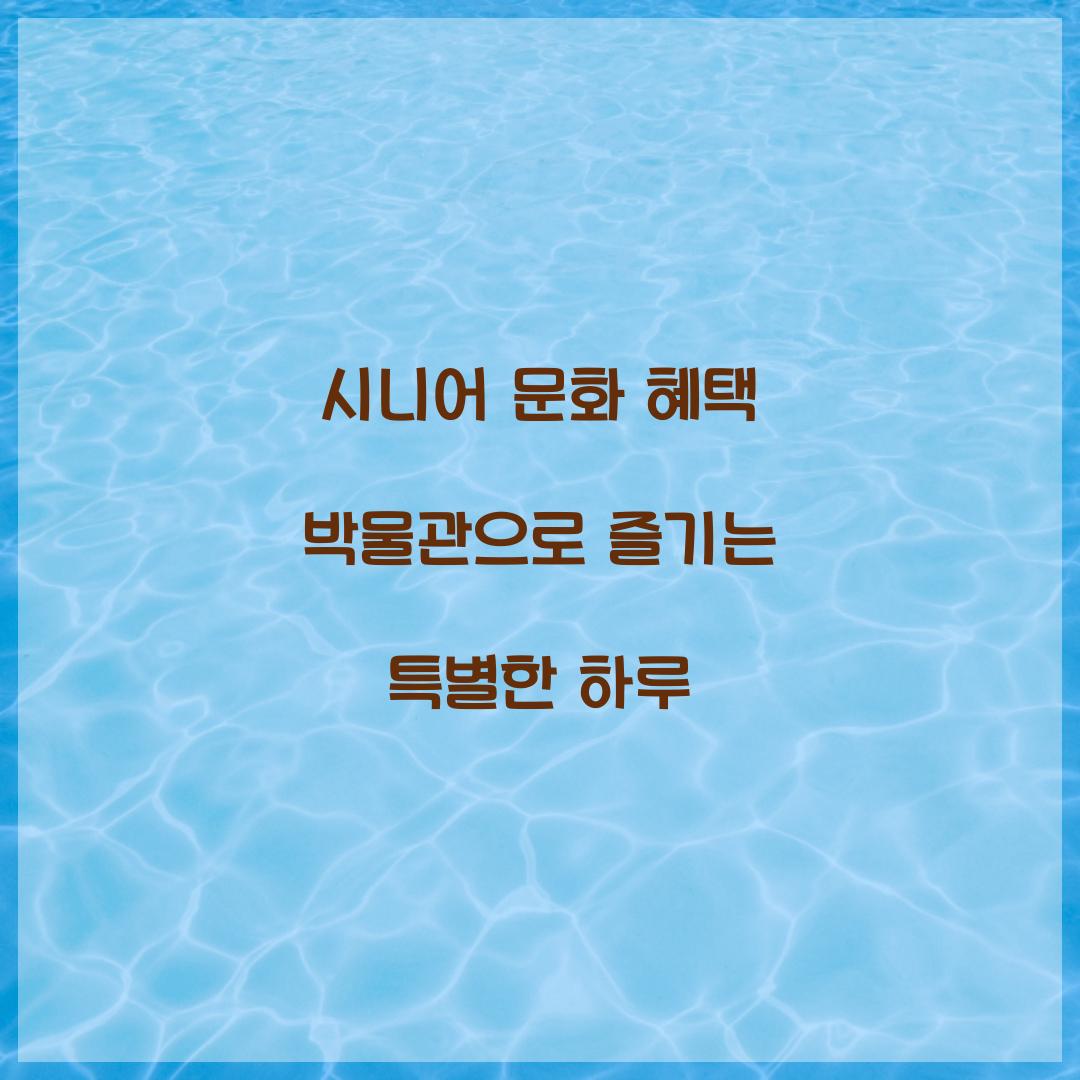 시니어 문화 혜택 박물관