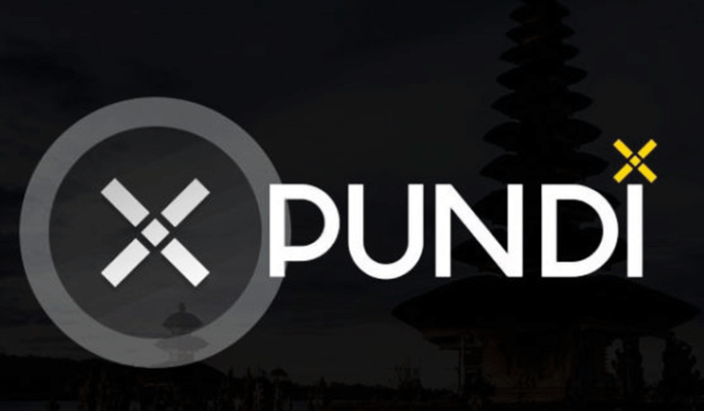  펀디엑스(PUNDIX) 코인 전망