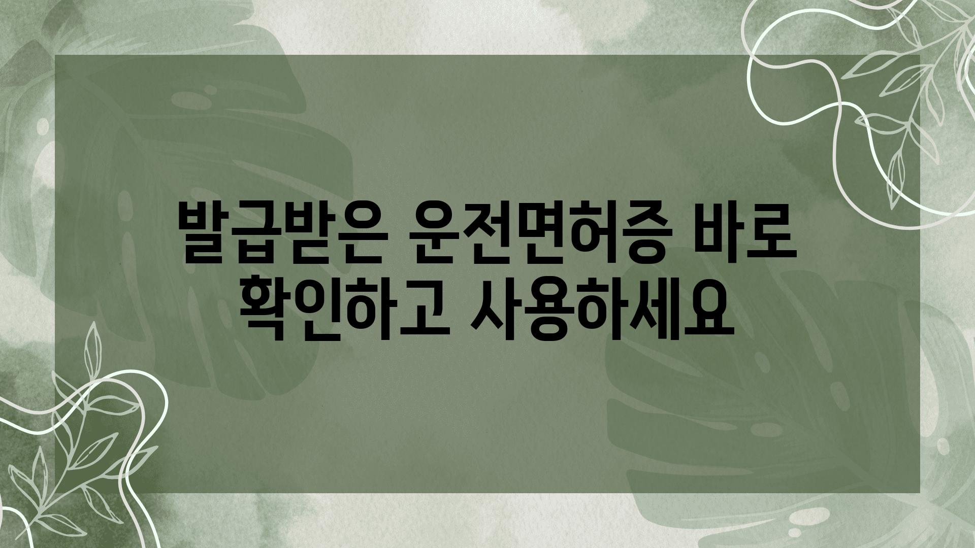 발급받은 운전면허증 바로 확인하고 사용하세요