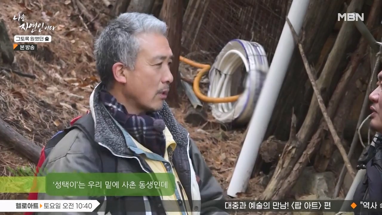 나는 자연인이다.E591.240132p-NEXT.mp4_20240201_195739.472.jpg