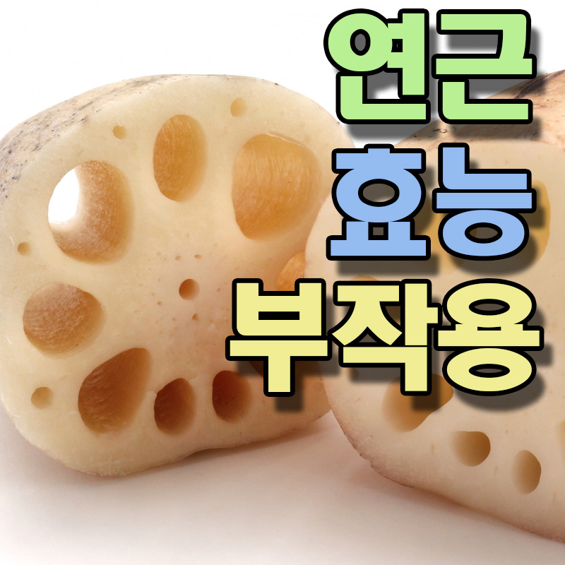  연근 효능 부작용