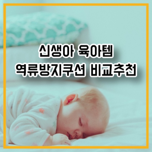 신생아 육아템 역방쿠 역류방지쿠션 비교 추천