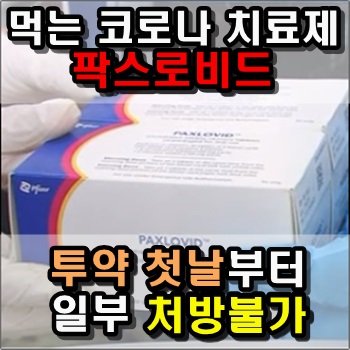  코로나 치료제 팍스로비드 투약 첫날부터 일부 처방불가
