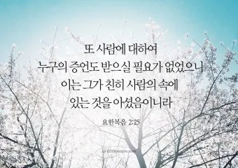 요한복음 20장 그리스도 성경 묵상_19