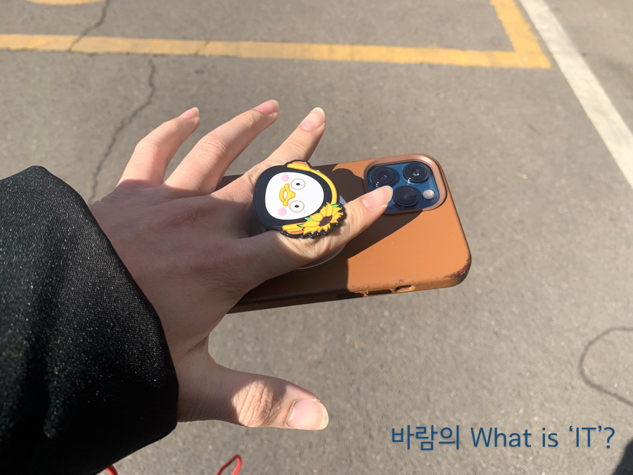 그립톡! 벨루가 아이폰 1