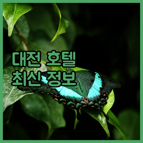 대전 호텔 추천 가이드 최신 정보!