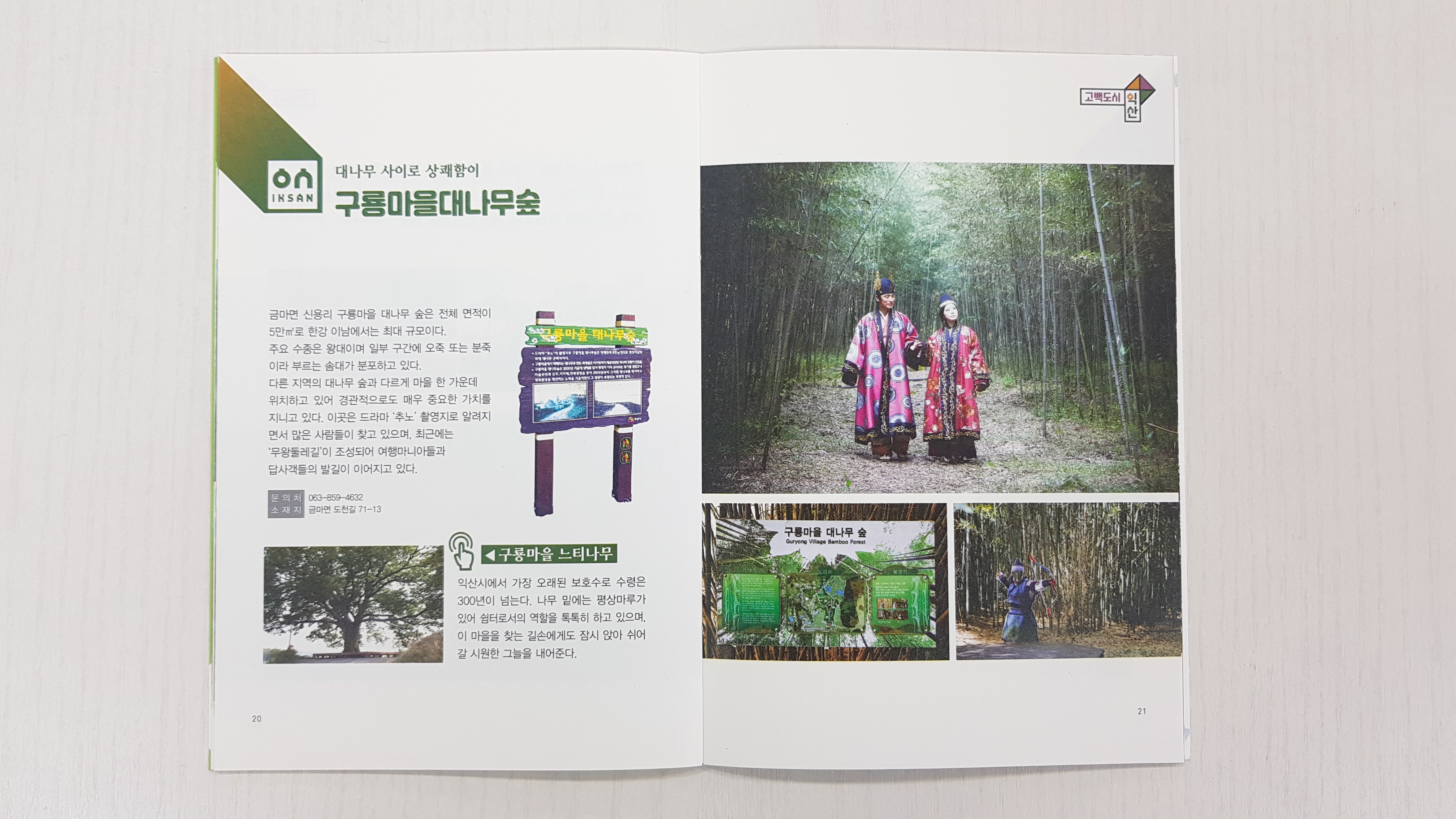 구룡마을대나무숲