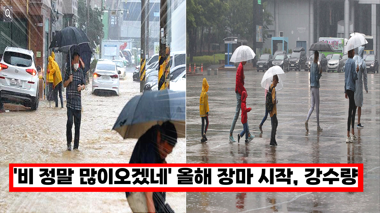  '올해 비 정말 많이 오겠네.. ㅎㄷㄷ' 올해 장마 언제부터, 지역별 강수량은?