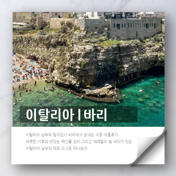 바리 이미지