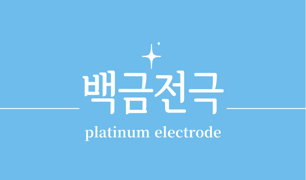 '백금전극(platinum electrode)'