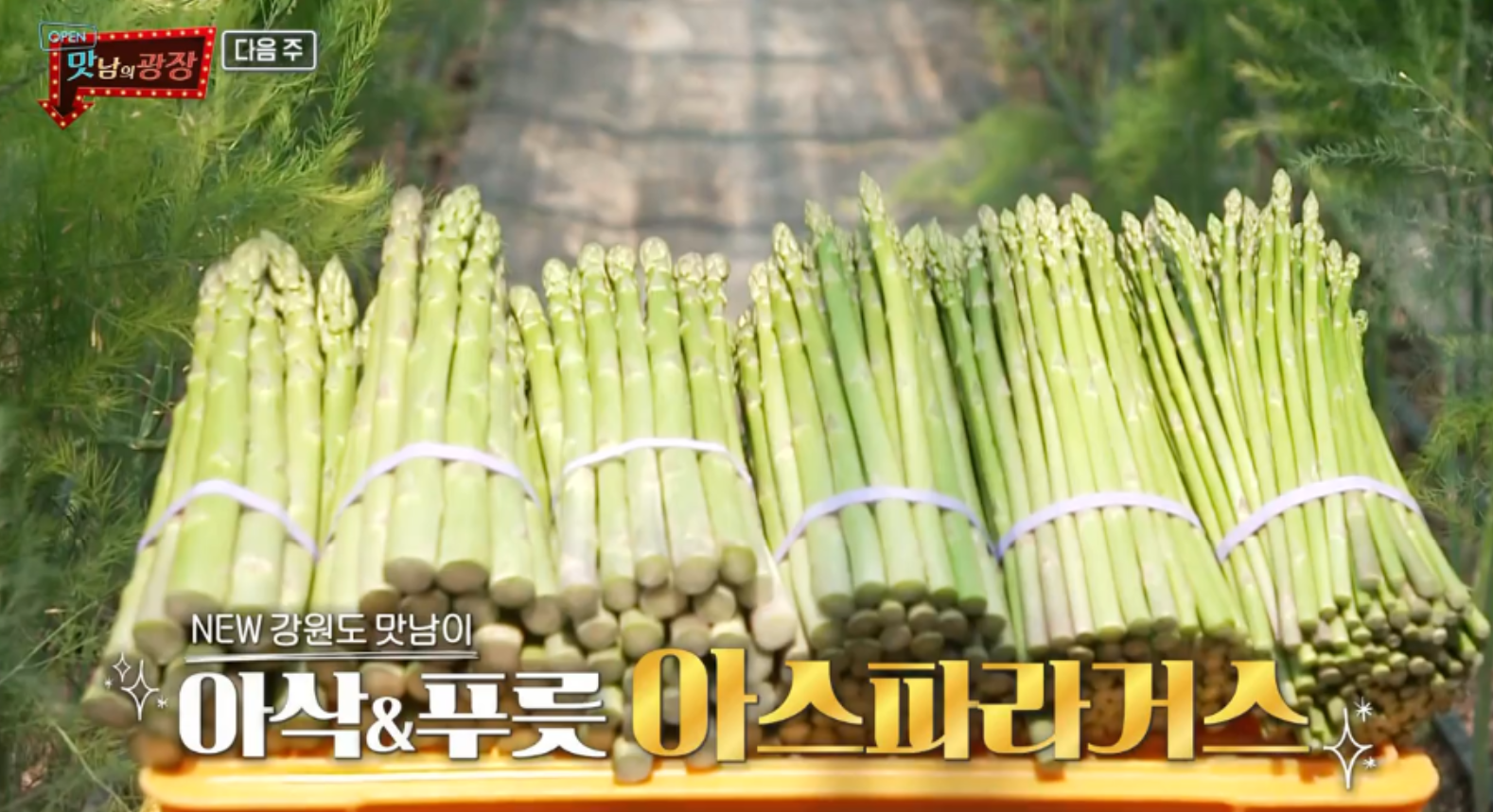  맛남의광장 곤드레유부초밥 레시피 아스파라거스튀김토마토구이마늘볶음 어향아스파라거스두부 곤드레전 곤드레국밥 강원도정선춘천 아스파라거스 주문구매방법 아스파라거스효능