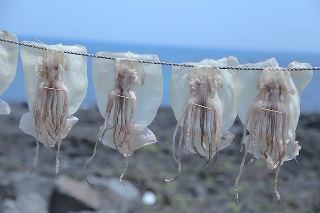 오징어 말리는 모습