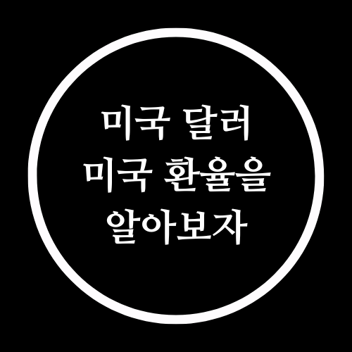  미국 달러 환율의 정보