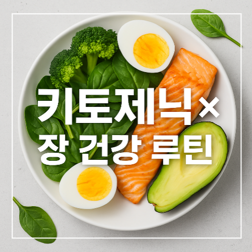 키토제닉은 장 건강에 해로울까 썸네일 이미지