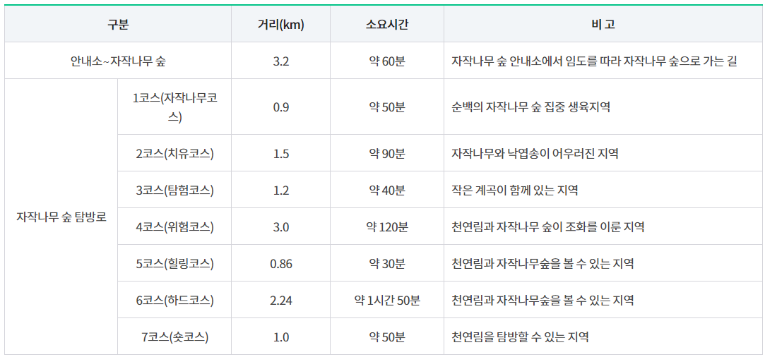 인제 자작나무숲