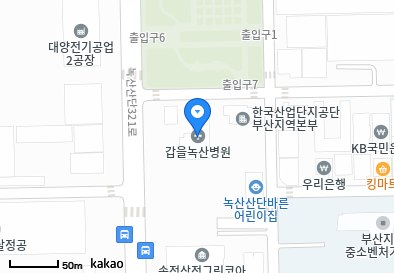 부산 강서구 송정동 일요일 진료 휴일 문 여는 병원