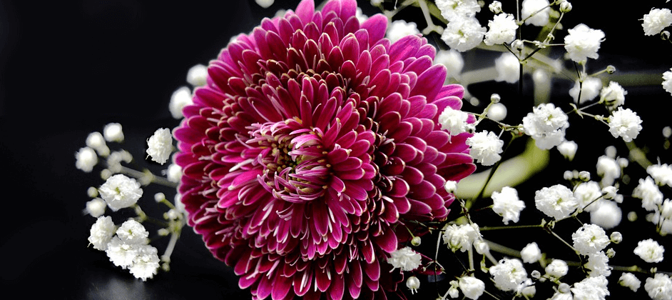 장미와 함께 꽃다발이 만들어져 있는 안개꽃의 모습