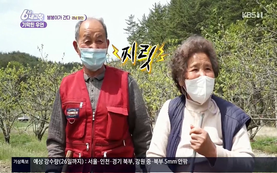6시 내고향.E7518.220426p.H264-F1RST.mp4_20220504_192009.845.jpg