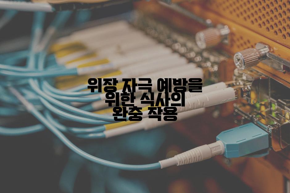 위장 자극 예방을 위한 식사의 완충 작용