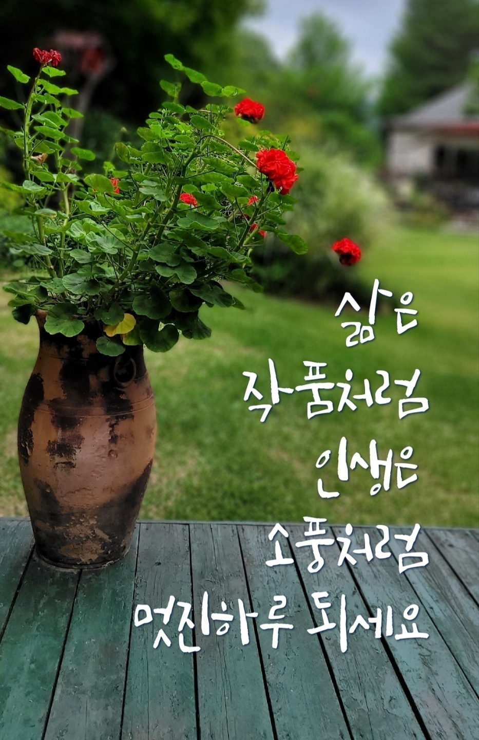 봄꽃 목련과 벚꽃이 한창입니다 / 꽃길만 걸으면 (03/23/22) 46