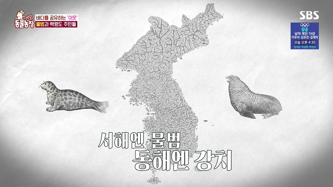 TV 동물농장.E1183.240805p-NEXT.mp4_20240804_154444.510.jpg