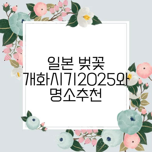 일본 벚꽃 개화시기2025와 명소추천