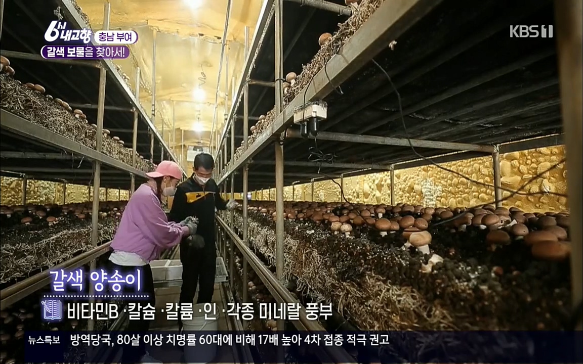 6시 내고향.E7512.220416p.H264-F1RST.mp4_20220502_185454.625.jpg