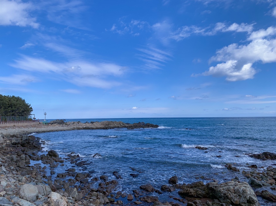 주차 꿀팁 (Hint : 해파랑길 2코스) 부산 여행 필수 코스! 해동용궁사 21